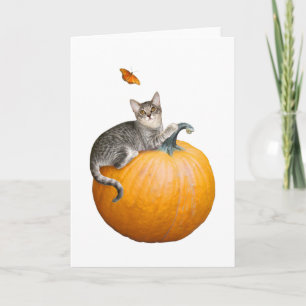 Cat with Pumpkin and Butterfly Card