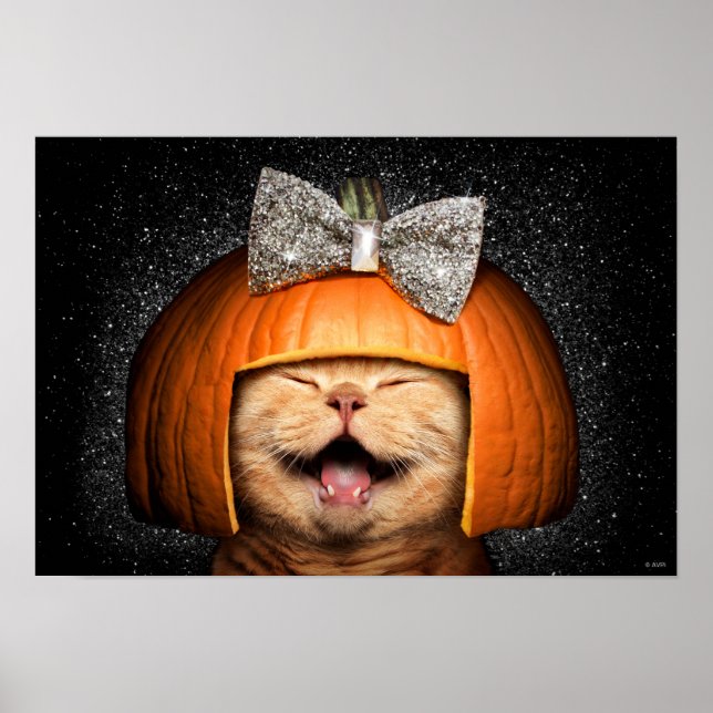 Cat With Pumpkin Hair Poster (Front)