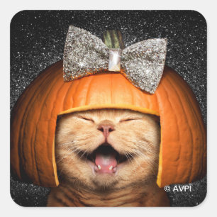 Cat With Pumpkin Hair Square Sticker