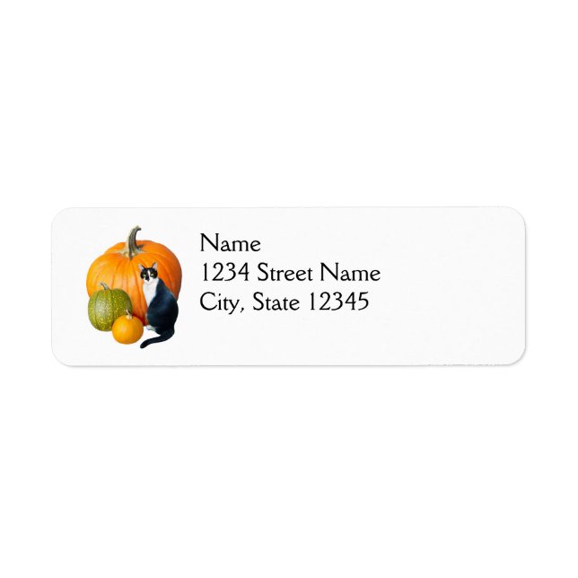 Cat with Pumpkins Address Labels (Front)