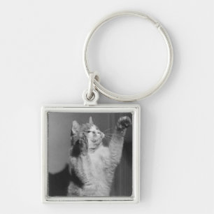 Cat with raised paws (B&W) Key Ring
