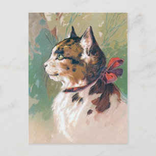 Cat with Red Ribbon Vintage Illustration Postcard