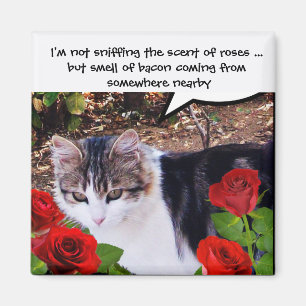 CAT WITH RED ROSES AND BACON MAGNET