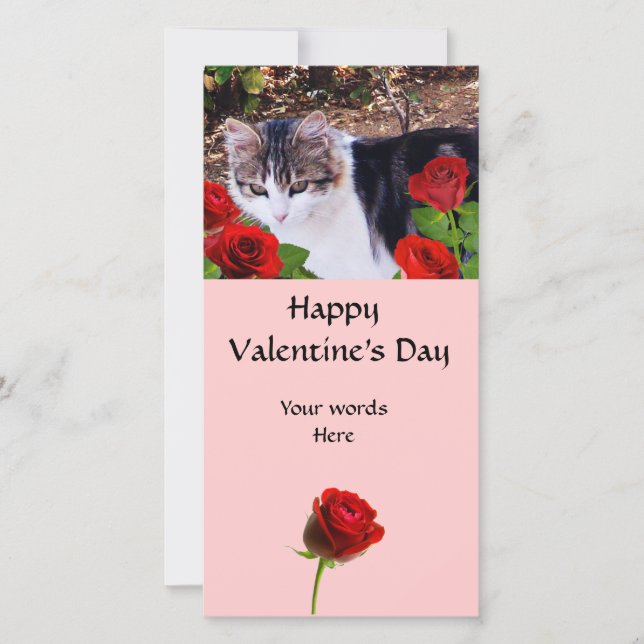 CAT WITH RED ROSES HOLIDAY CARD (Front)