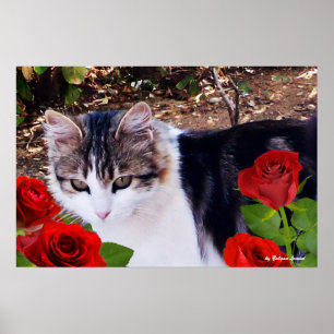 CAT WITH RED ROSES POSTER
