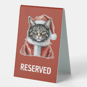 Cat With Santa Claus Outfit - Christmas 1