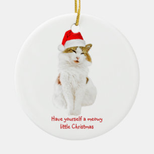 Cat with Santa's Hat Ceramic Tree Decoration