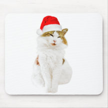 Cat with Santa's Hat