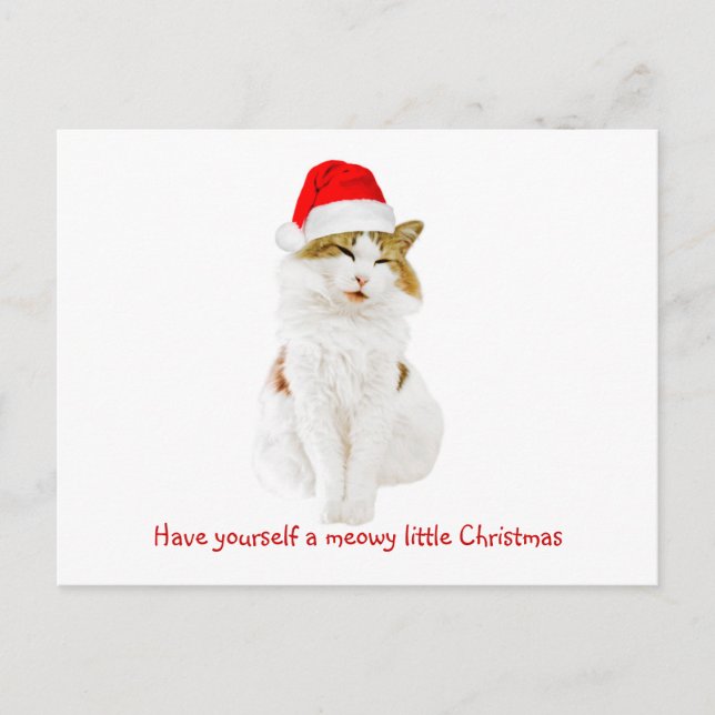 Cat with Santa's Hat Postcard (Front)