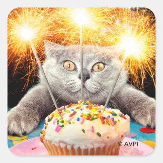 Cat With Sparkler Cupcake Square Sticker