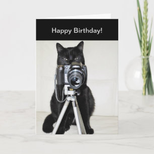 Cat with the camera card
