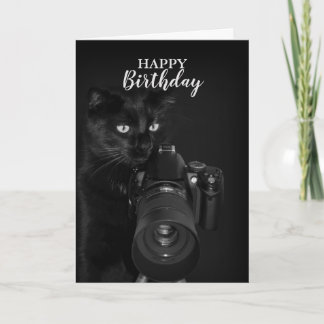 Cat with the camera card