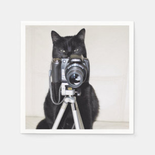 Cat with the camera napkin