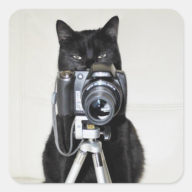 Cat with the camera square sticker (Front)