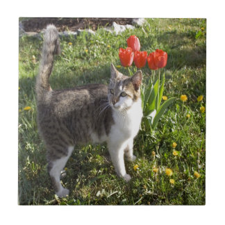 Cat With Tulips Tile