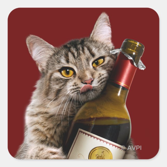Cat With Wine Bottle Square Sticker (Front)
