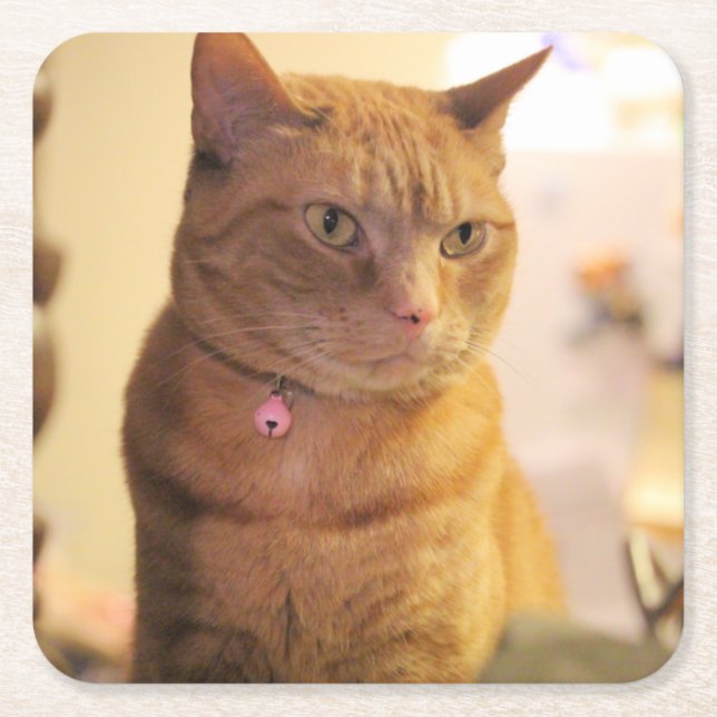 Cat Wooden Keepsake Box Square Paper Coaster (Front)