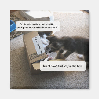 Cat World Domination Magnet
