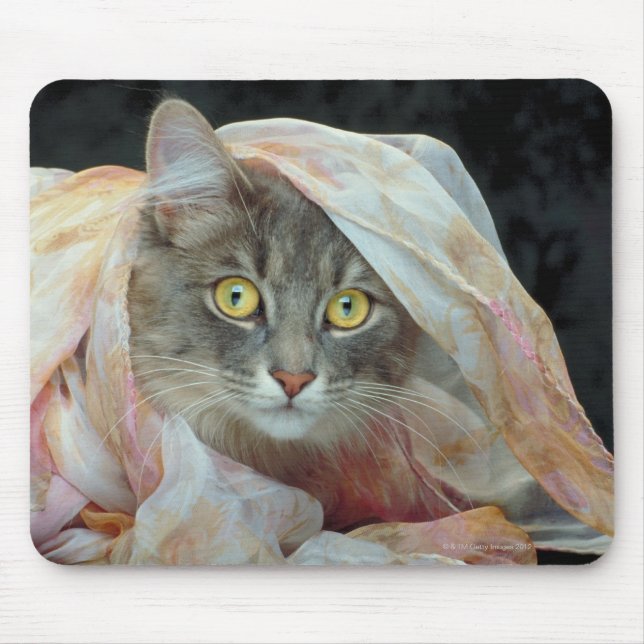 Cat wrapped in cloth mouse mat (Front)