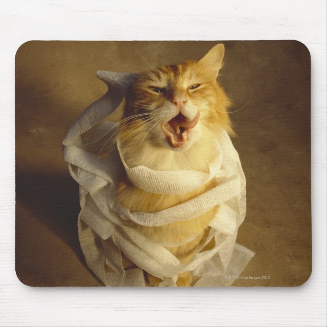 Cat wrapped in medical gauze mouse mat (Front)