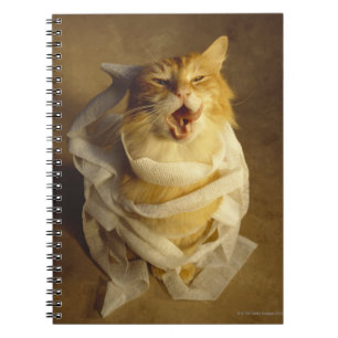 Cat wrapped in medical gauze notebook