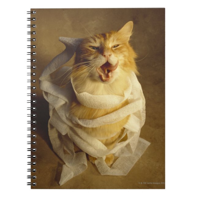 Cat wrapped in medical gauze notebook (Front)