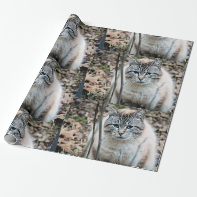 Cat Wrapping Paper (Unrolled)