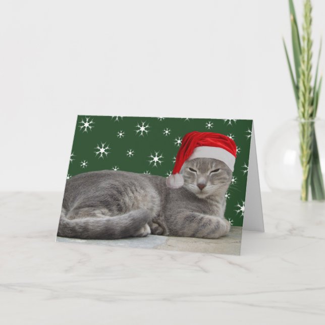 Cat  Xmas Cards (Front)