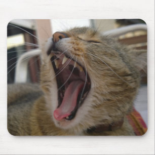 Cat yawn mouse mat