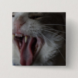 Cat Yawning 15 Cm Square Badge