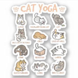 Cat Yoga Poses Cats Practicing Mindfulness Meditat