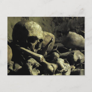 catacomb bones postcard