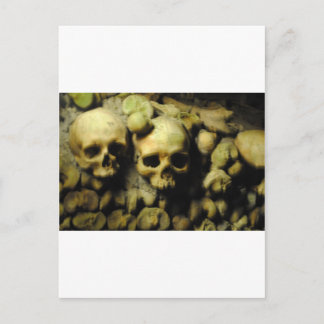 Catacombs in France Postcard