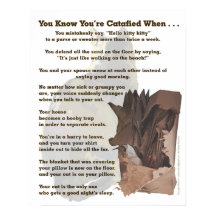 Catafied. Only a cat lover would understand.