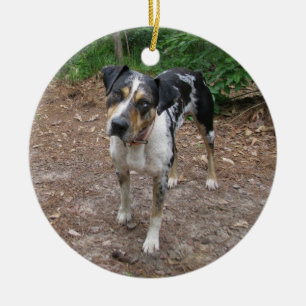 Catahoula Christmas Ceramic Tree Decoration