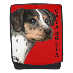 Catahoula Colour Block Backpack
