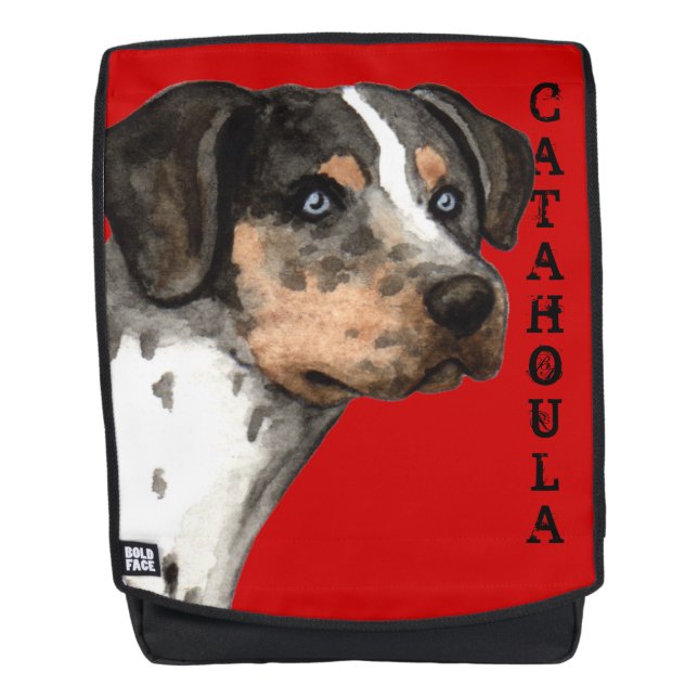 Catahoula Colour Block Backpack (Front)