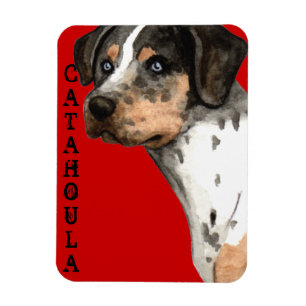 Catahoula Colour Block Magnet