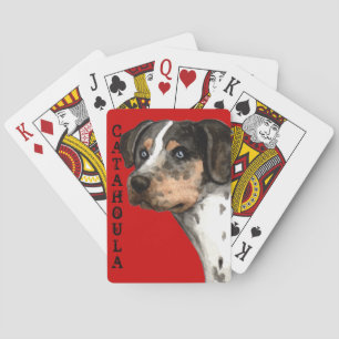 Catahoula Colour Block Playing Cards