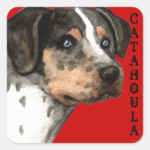 Catahoula Colour Block Square Sticker