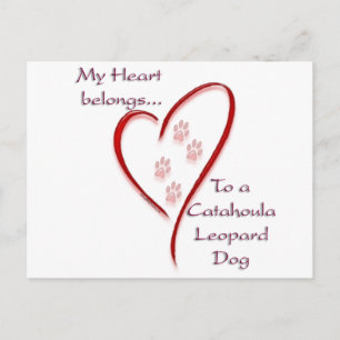 Catahoula Leopard Dog Heart Belongs Postcard