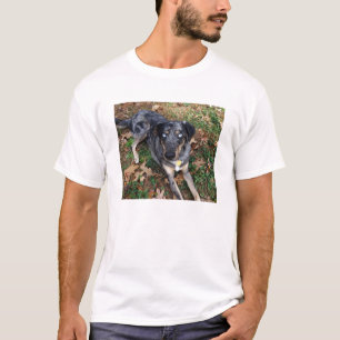 Catahoula Leopard Dog Laying Down T-Shirt