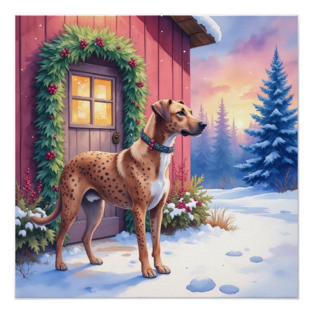 Catahoula Leopard Dog Rustic Barn Christmas Art Poster (Front)