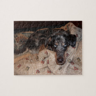 Catahoula Leopard Dog Snoozing Jigsaw Puzzle