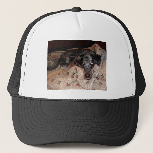 Catahoula Leopard Dog Snoozing Trucker Hat (Front)
