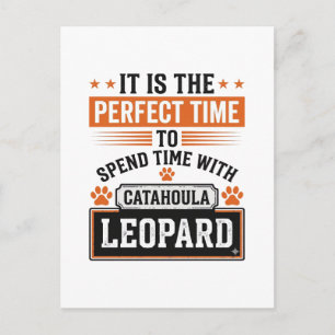 Catahoula Leopard Dog Vintage Time Shirt Design_1 Postcard