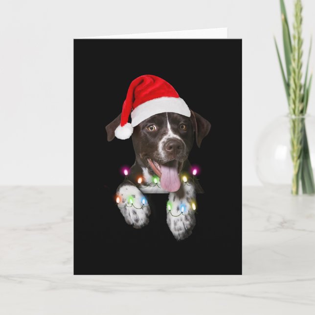 catahoula puppy sitting christmas light card (Front)