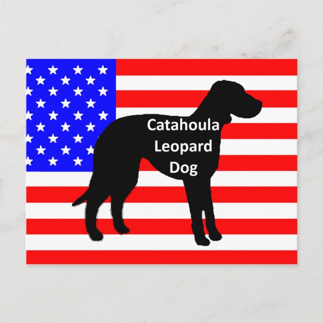 catahoula silhouette name on usa-flag postcard (Front)