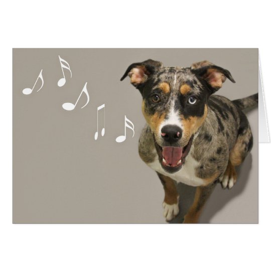 Catahoula Singing Card by Focus for a Cause