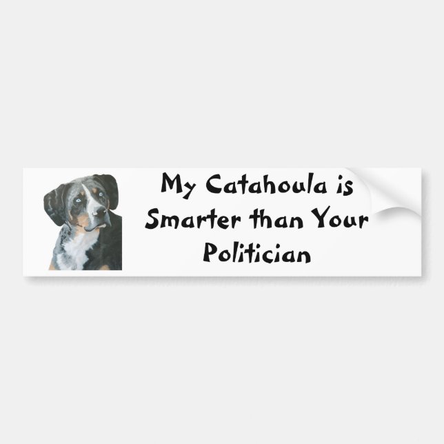 Catahoula vs Politician Bumber Sticker (Front)
